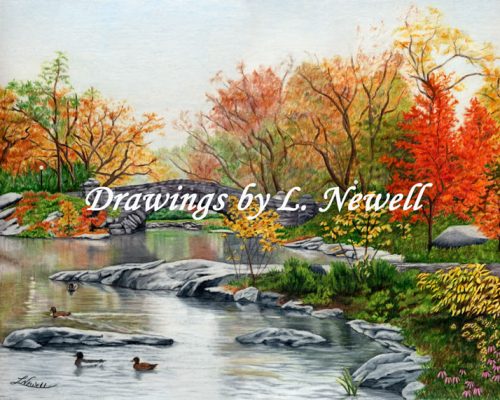 Fall in Central Park