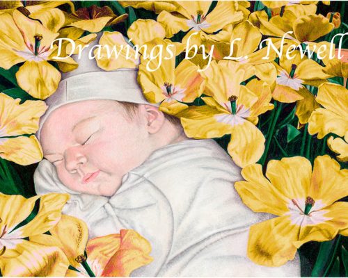 God's Precious Creation