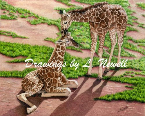 Tender Encouragement