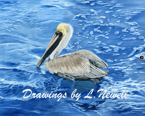 Pelican